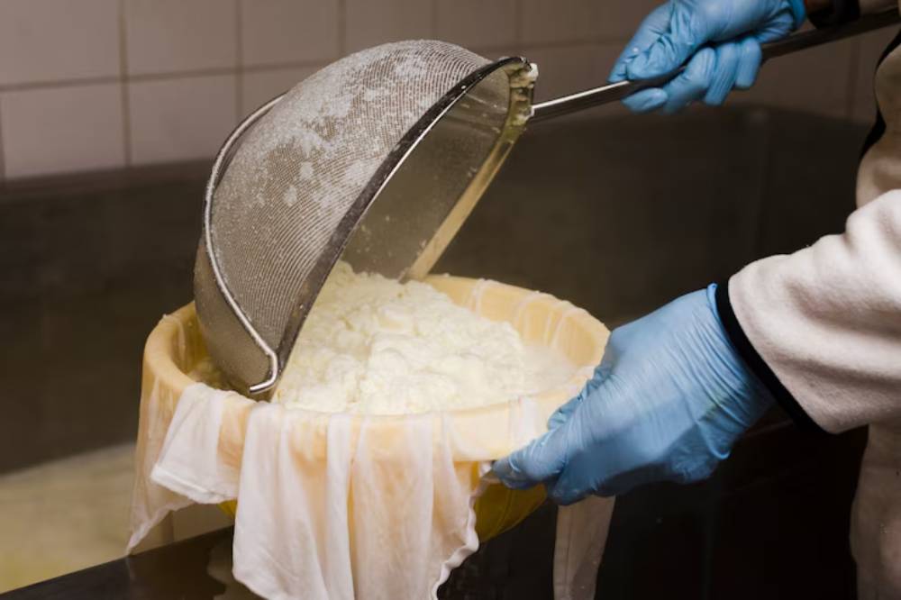 A person wearing blue gloves pours curds into a fine mesh strainer over a bowl, while whey drains away in a food preparation area.