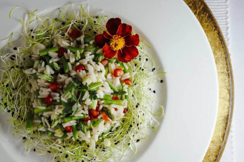 A vibrant dish of rice mixed with green vegetables, pomegranate seeds, and garnished with sprouts and a red flower on a white plate.