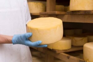 A gloved hand holds a round cheese wheel in a cheese aging room, with more wheels stacked on wooden shelves in the background.
