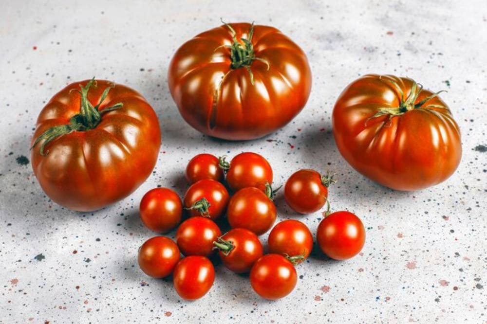 Three ripe brown tomatoes and a cluster of small cherry tomatoes against a speckled light background.